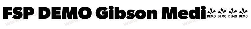 FSP DEMO Gibson Medi字体转换